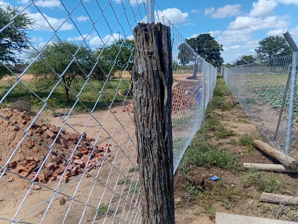 Mahetshe Primary School fence line detail